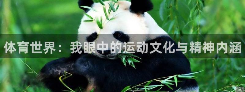 JJB竞技宝官网下载平台注册要钱吗：体育世界：我眼中
