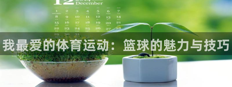JJB竞技宝官网下载招商电话地址是多少：我最爱的体育