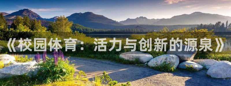 德国JJB竞技宝官方正版app集团：《校园体育：活力