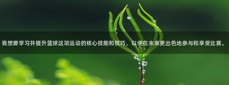 JJB竞技宝官方正版app五金厂：我想要学习并提升篮