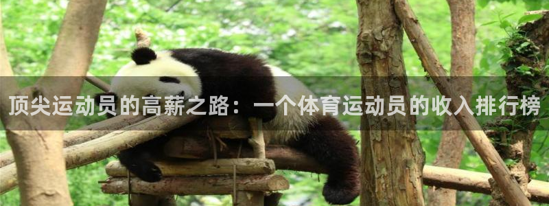 JJB竞技宝官方正版app新能源：顶尖运动员的高薪之