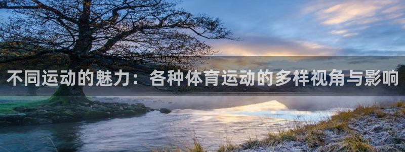 注册JJB竞技宝官方正版app：不同运动的魅力：各种