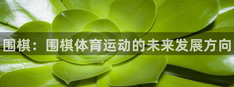JJB竞技宝官方正版app娱乐下载：围棋：围棋体育运