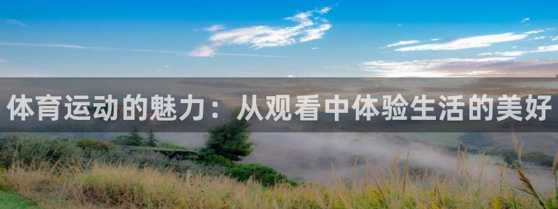 JJB竞技宝官网下载平台：体育运动的魅力：从观看中体
