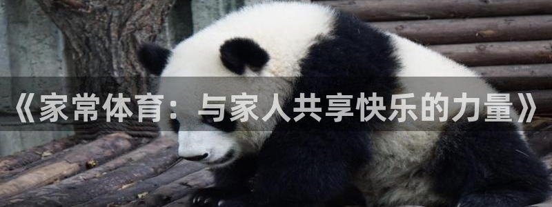 JJB竞技宝官方正版app开户