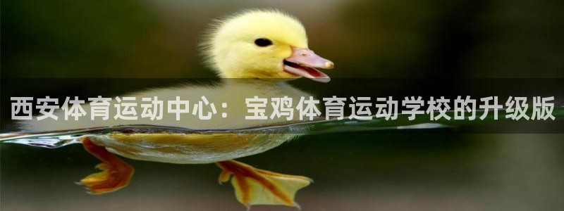 JJB竞技宝官方正版app集团：西安体育运动中心：宝鸡体育运