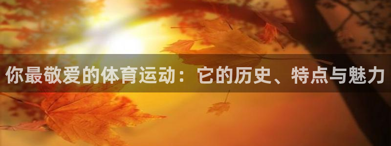 JJB竞技宝官网下载平台注册流程图：你最敬爱的体育运动：它的