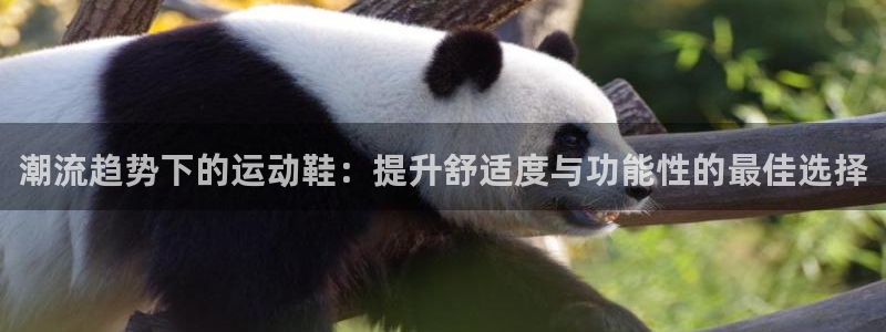 JJB竞技宝官网下载招商电话号码