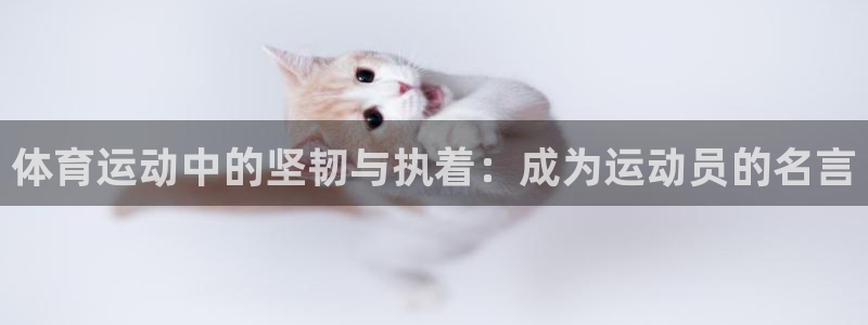 JJB竞技宝官网下载开户：体育运动中的坚韧与执着：成为运动员