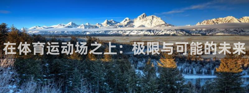 JJB竞技宝官方正版app娱乐网站：在体育运动场之上