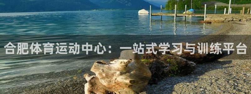 JJB竞技宝官方正版app集团官网首页网址：合肥体育