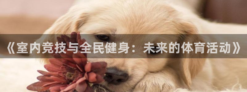 JJB竞技宝官网下载平台是正规平台吗知乎：《室内竞技