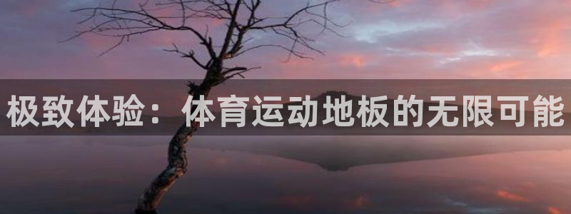 JJB竞技宝官网下载招商电话号码：极致体验：体育运动