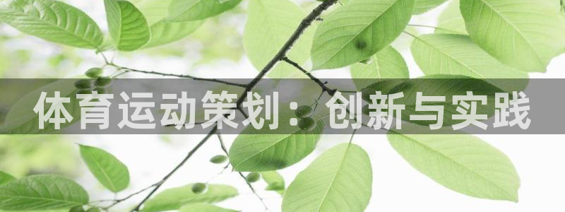 竞技宝下载最新版