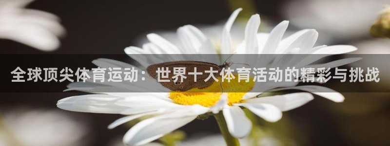 竞技宝能提现吗是真的吗