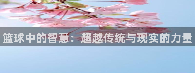 JJB竞技宝app全站：篮球中的智慧