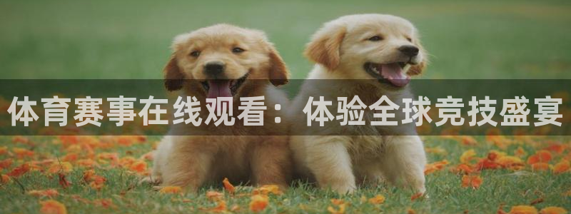 竞技宝官网下载：体育赛事在线观看：体