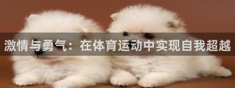 竞技宝 app靠谱吗：激情与勇气：在体育运动中实现自我超越