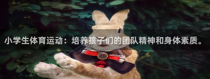  竞技宝可以提现吗找哈哈电竞：小学生体育运动：培养孩子们的团队