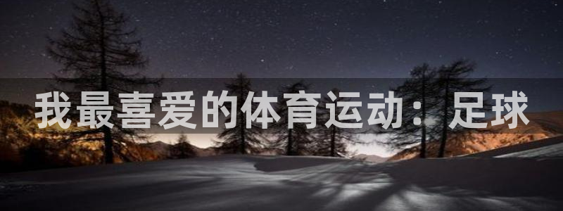 竞技宝网站入口：我最喜爱的体育运动：足球