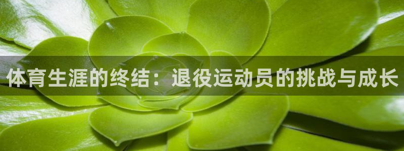 竞技宝电话：体育生涯的终结：退役运动