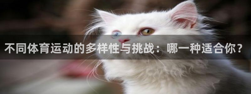 竞技宝app官网版下载：不同体育运动