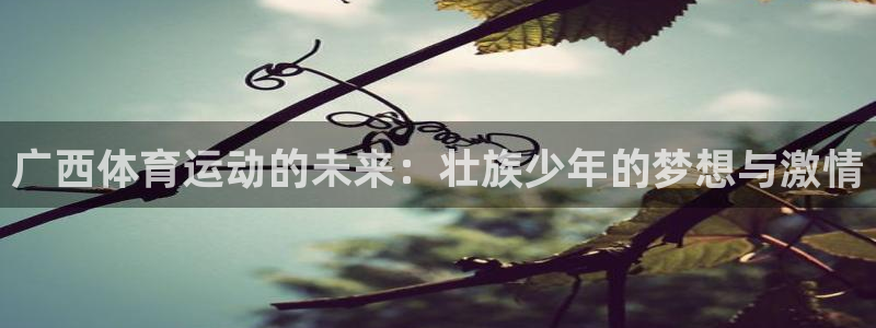 竞技宝入口