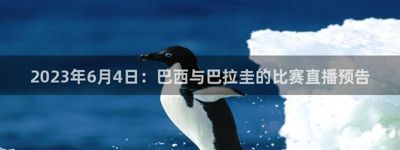 178足球直播官网下载
